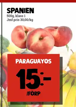 paraguayos