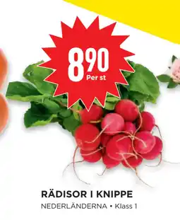 Willys RÄDISOR I KNIPPE erbjuda
