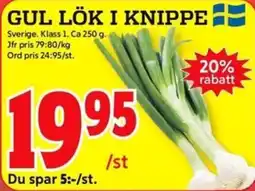 ICA Kvantum GUL LÖK I KNIPPE erbjuda