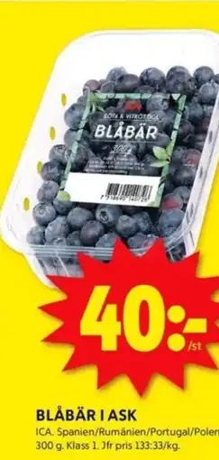 ICA Kvantum BLÅBÄR I ASK erbjuda