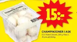 ICA Kvantum CHAMPINJONER I ASK erbjuda