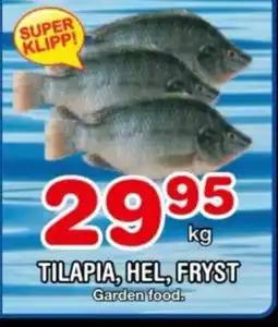 Nya Pulsen TILAPIA, HEL, FRYST erbjuda