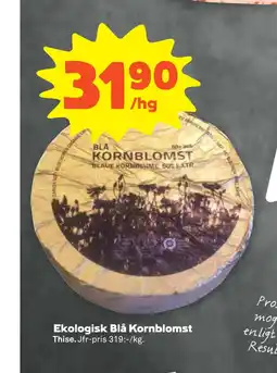 Stora Coop Ekologisk Blå Kornblomst erbjuda