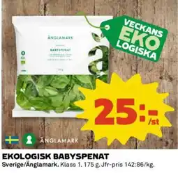 Coop EKOLOGISK BABYSPENAT erbjuda