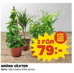 Coop GRÖNA VÄXTER erbjuda
