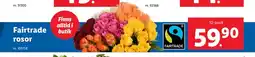 Lidl Fairtrade rosor erbjuda