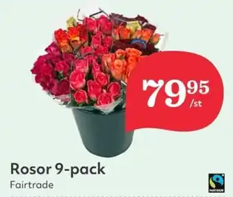 Hemköp Rosor 9-pack erbjuda