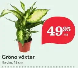 Gröna växter