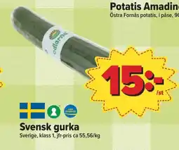 Östenssons Svensk gurka erbjuda