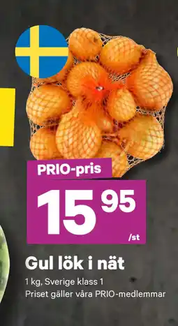 City Gross Gul lök i nät erbjuda