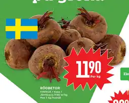 Willys Hemma RÖDBETOR erbjuda