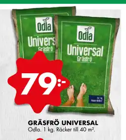 ÖoB GRÄSFRÖ UNIVERSAL erbjuda