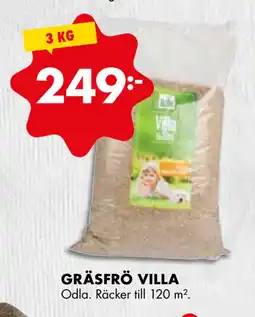 ÖoB GRÄSFRÖ VILLA erbjuda