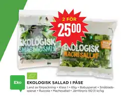 Willys EKOLOGISK SALLAD I PÅSE erbjuda