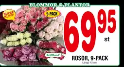 Nya Pulsen ROSOR, 9-PACK erbjuda