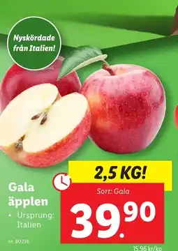 Lidl Gala äpplen erbjuda