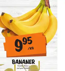 BANANER