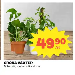 Coop GRÖNA VÄXTER erbjuda