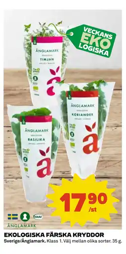 Coop Daglivs EKOLOGISKA FÄRSKA KRYDDOR erbjuda