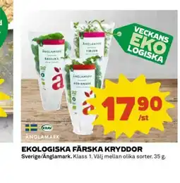 Coop Ekologiska färska kryddor erbjuda