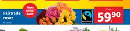 Lidl Fairtrade rosor erbjuda