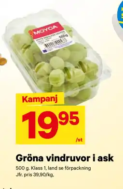 City Gross Gröna vindruvor i ask erbjuda