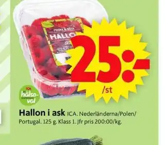 ICA Supermarket Hallon i ask erbjuda