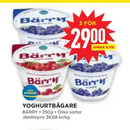 Willys Hemma YOGHURTBÄGARE erbjuda