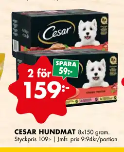 ÖoB CESAR HUNDMAT erbjuda