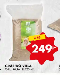 ÖoB GRÄSFRÖ VILLA erbjuda