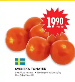 Willys SVENSKA TOMATER erbjuda