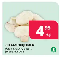 Tempo CHAMPINJONER erbjuda