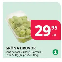 Tempo GRÖNA DRUVOR erbjuda
