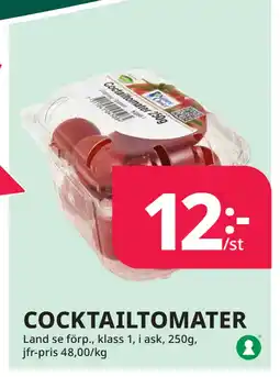 Tempo COCKTAILTOMATER erbjuda
