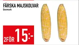 Matdax FÄRSKA MAJSKOLVAR erbjuda