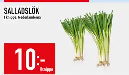 Matdax SALLADSLÖK erbjuda