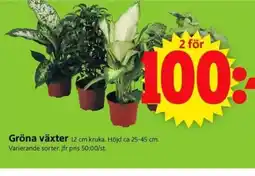 ICA Supermarket Gröna växter erbjuda