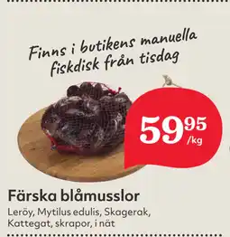 Hemköp Färska blåmusslor erbjuda