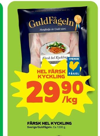 Färsk hel kyckling