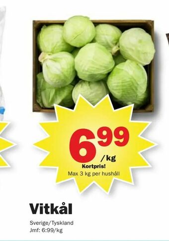 Pekås Vitkål erbjuda