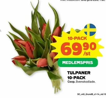 Stora Coop Tulpaner 10-PACK erbjuda