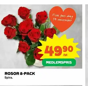 Rosor 8-pack