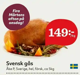Svensk gås