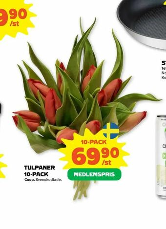 Stora Coop Tulpaner 10-pack erbjuda