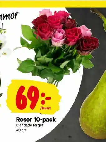 City Gross Rosor 10-pack erbjuda