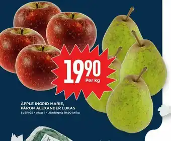 Willys Äpple ingrid marie, päron alexander lukas erbjuda