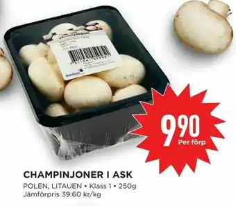 Willys Champinjoner i ask erbjuda