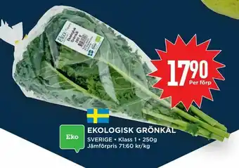 Willys Ekologisk grönkål erbjuda