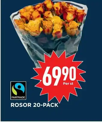 Willys Hemma Rosor 20-pack erbjuda