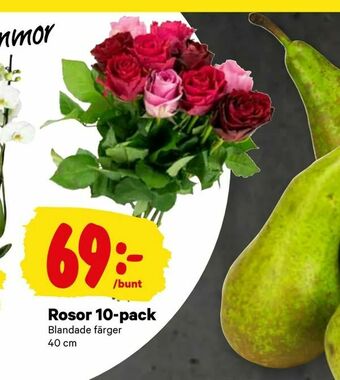 City Gross Rosor 10-pack erbjuda